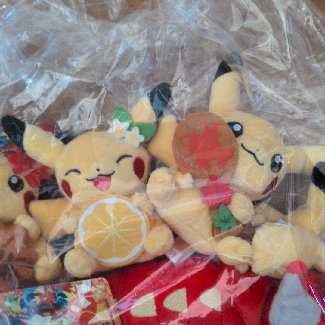 ポケモンセンターヒロシマ ぬいぐるみとマスコット4点セット　ピカチュウ