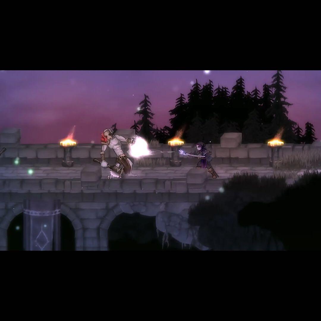 Nintendo Switch Salt and Sanctuary / Salt and Sacrifice