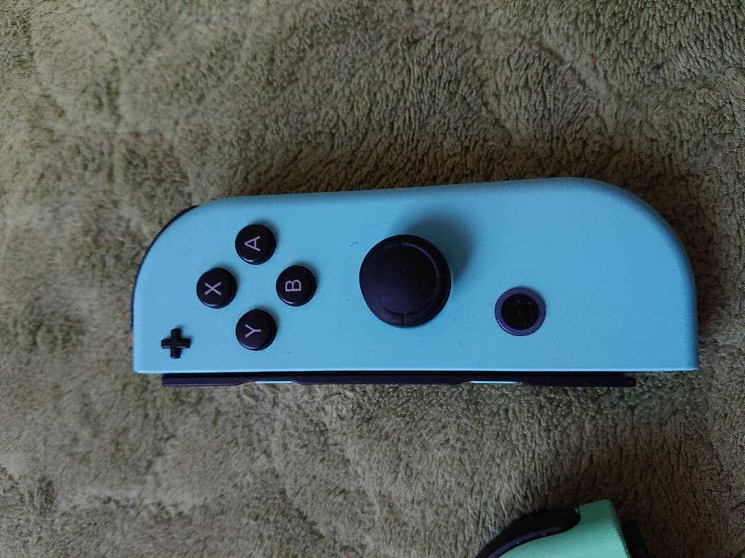 Nintendo Switch 本体 通常版 ジョイコンだけあつまれどうぶつの森