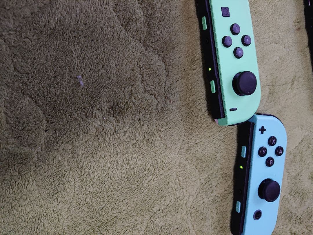 Nintendo Switch 本体 通常版 ジョイコンだけあつまれどうぶつの森