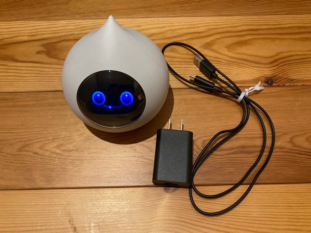 会話型AIロボットRomi(ロミー) ROMI-P02