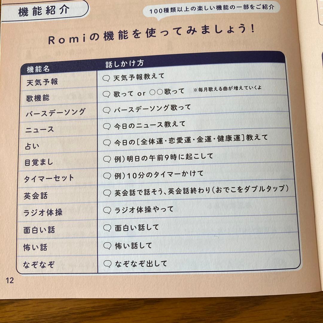 会話型AIロボットRomi(ロミー) ROMI-P02