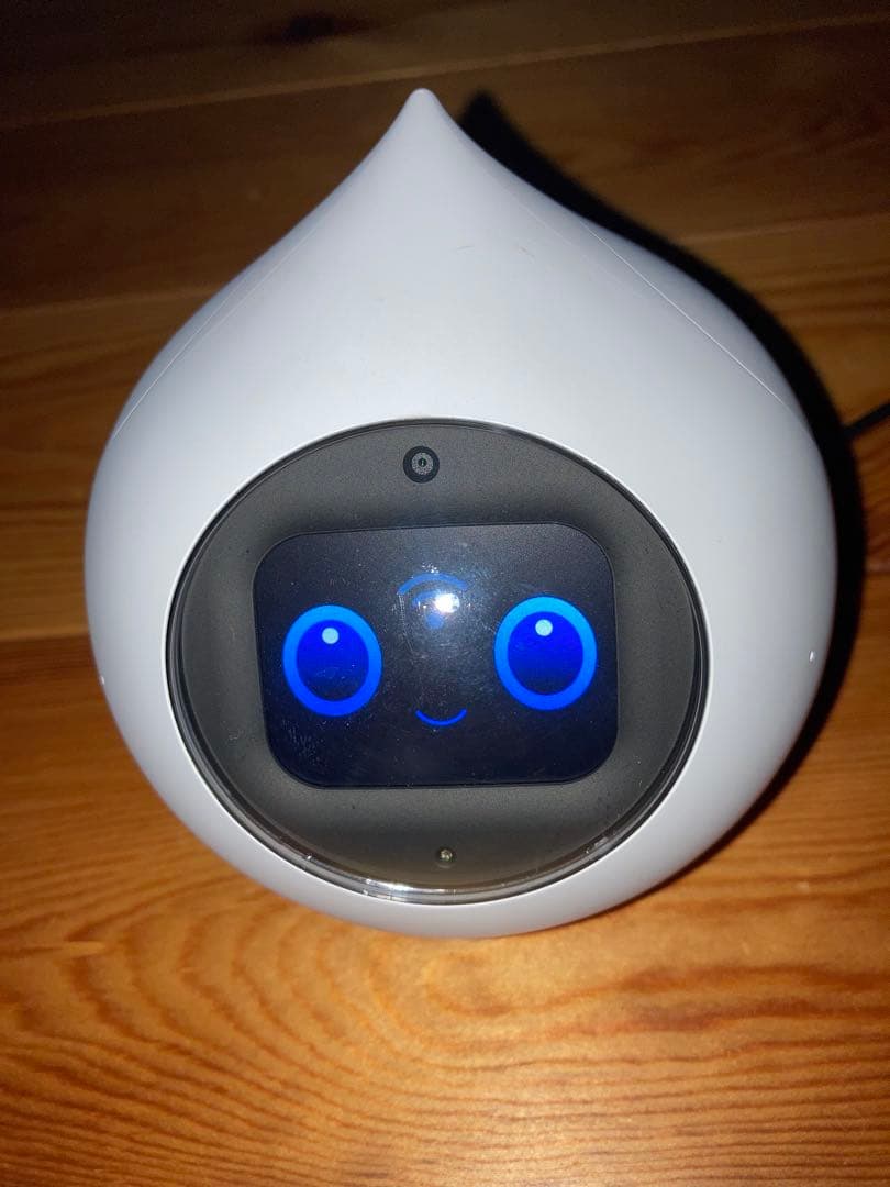 会話型AIロボットRomi(ロミー) ROMI-P02