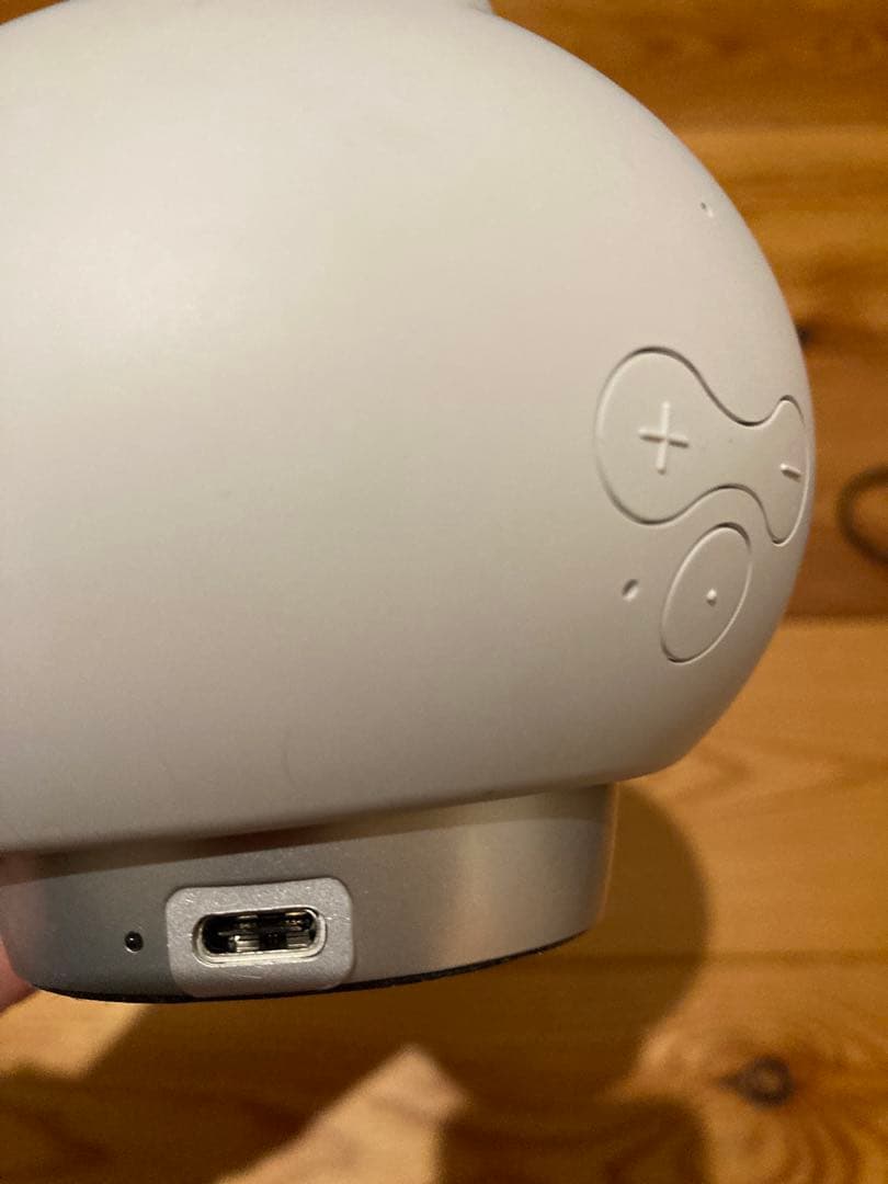 会話型AIロボットRomi(ロミー) ROMI-P02