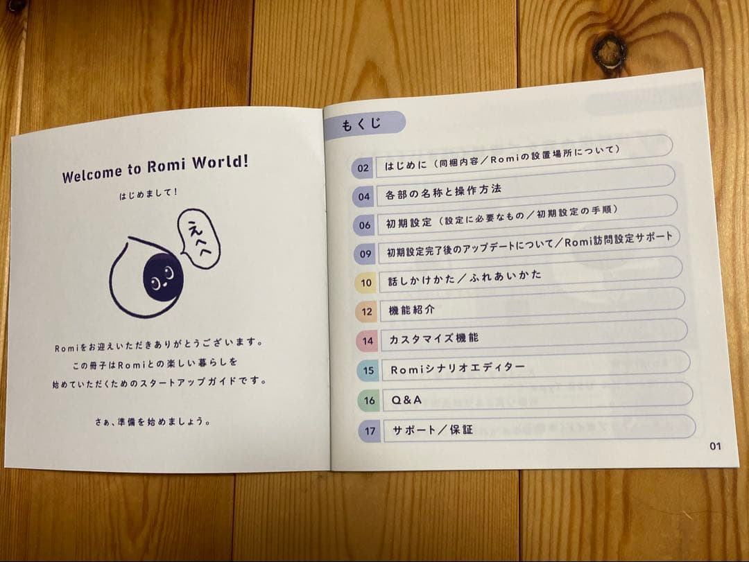 会話型AIロボットRomi(ロミー) ROMI-P02