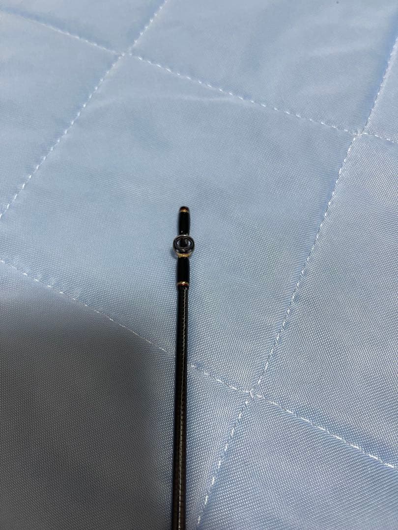 トランスセンデンス　ボティア