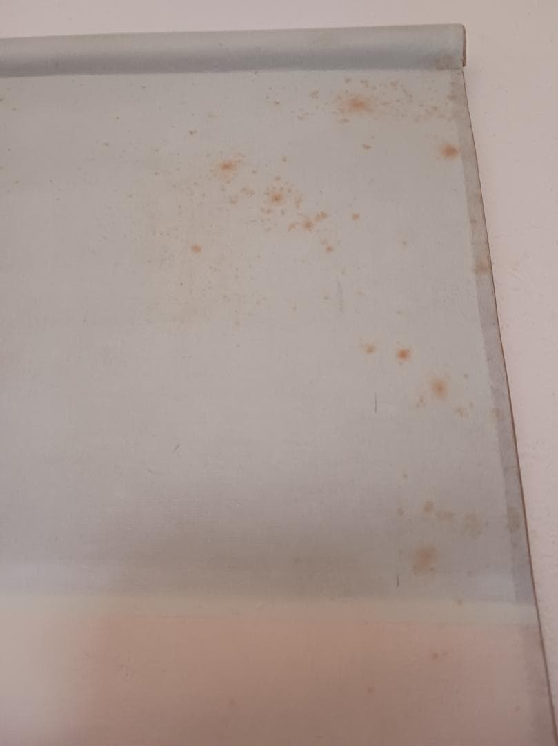 【春雪作】丹頂鶴と亀 松竹梅 美品 高級掛軸 日本画 縁起物