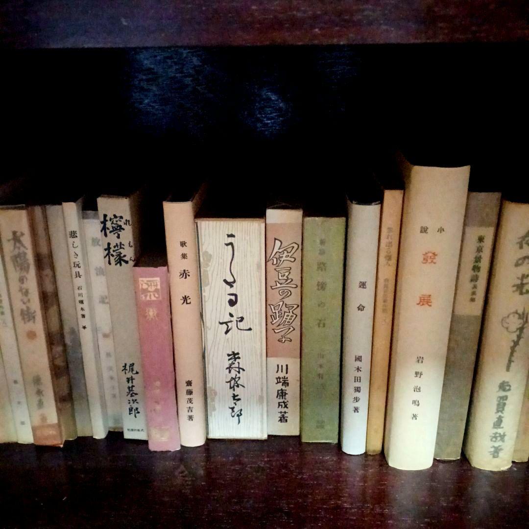 日本文学コレクション【中古品】