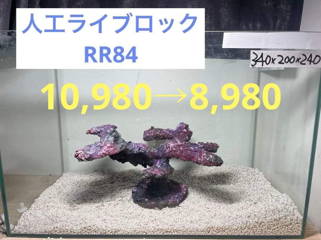 現物在庫SALE‼︎人工ライブロック RR84 アク抜き済み安心塗料使用