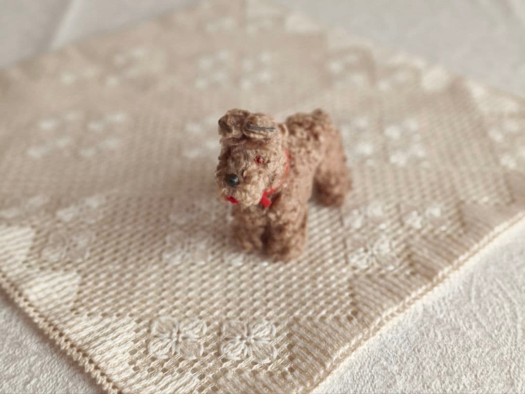 * vintage dog ❀ クルクル巻き毛がキュートな ワンちゃん