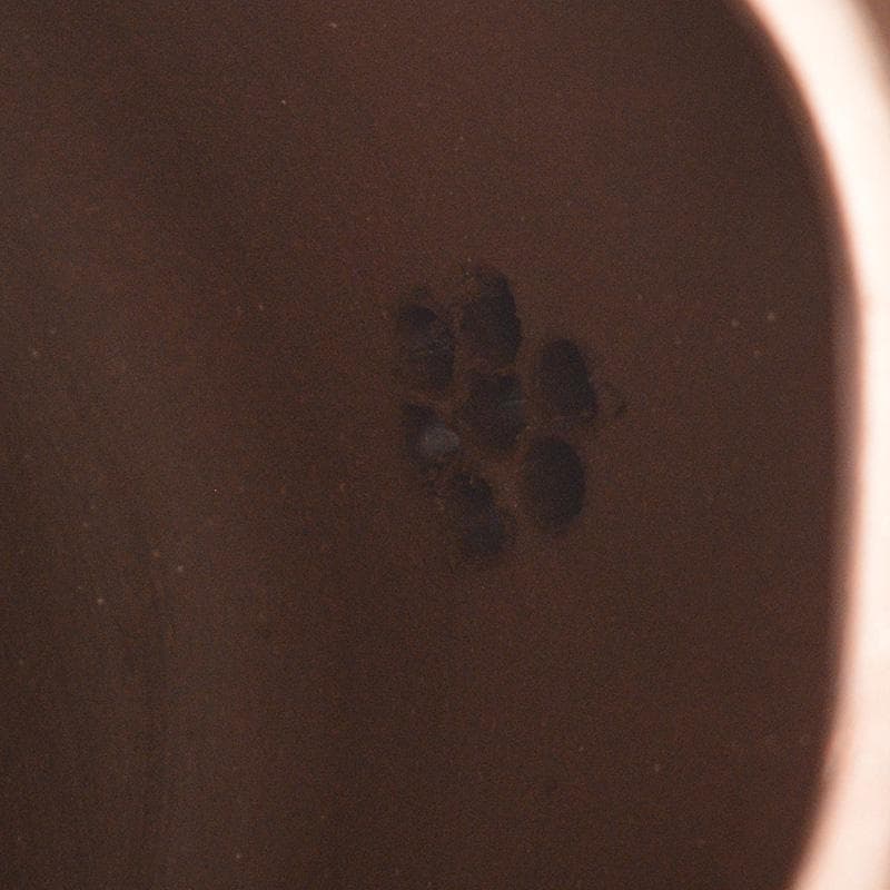 中国　紫砂　朱泥　栗鼠果実文　急須　茶壷　在銘　C　6411