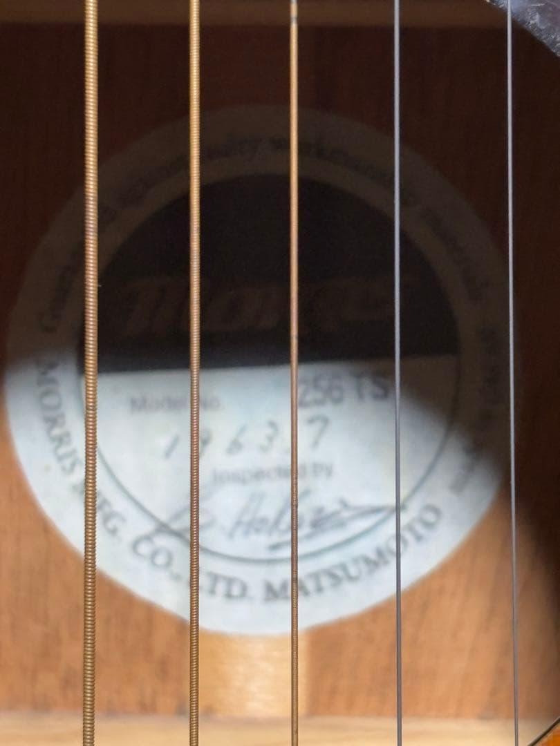 moRRls アコースティックギター サンバースト ハードケース付き【中古品】