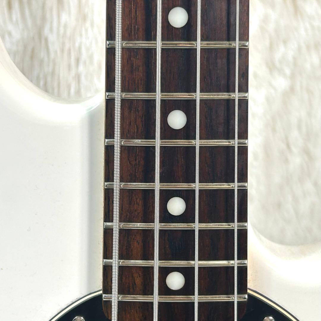 Sterlin by MusicMan RAY4 スティングレイ アクティブ