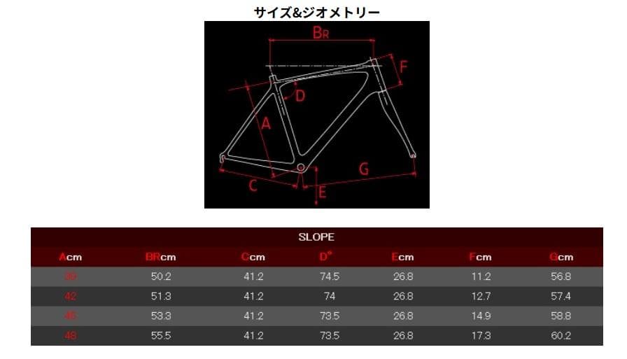 【送料無料】DE ROSA R848 2012年 ロードバイク