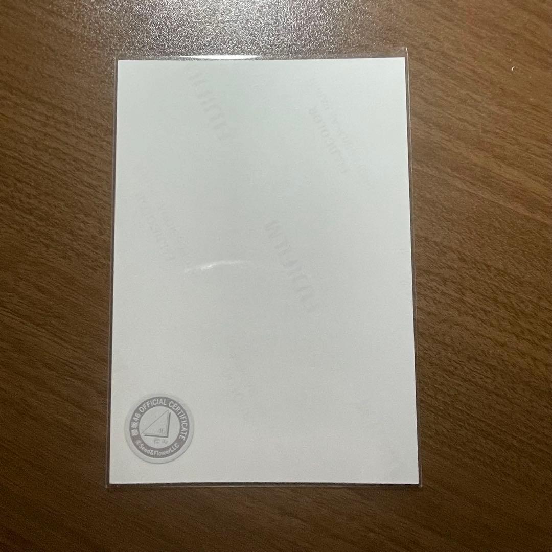 松本和子 直筆サイン 生写真 2025サンタ ヒキ 櫻坂46