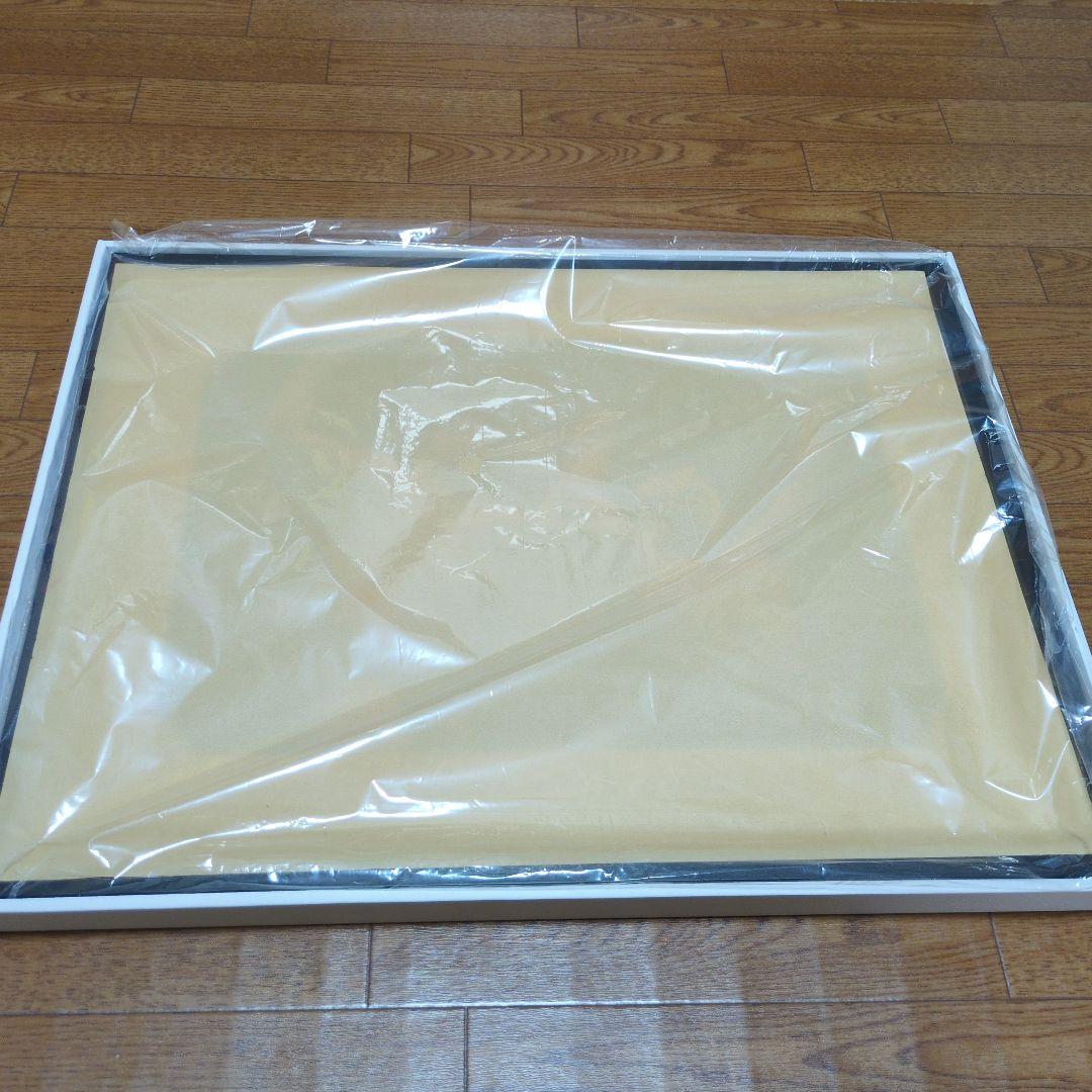 UWF40周年　無限大記念日　スーパータイガー＆前田日明直筆サイン写真　額縁