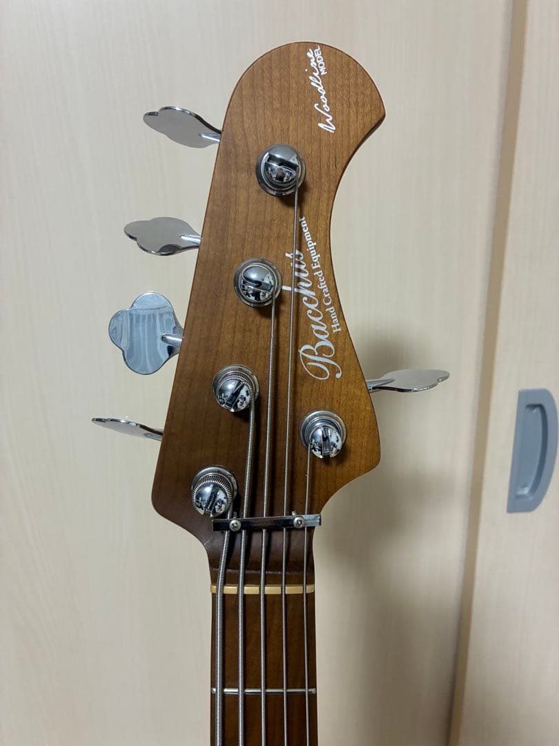 WL5-STD33-AC RSM/M (Bacchus)5弦ジャスベース グレー