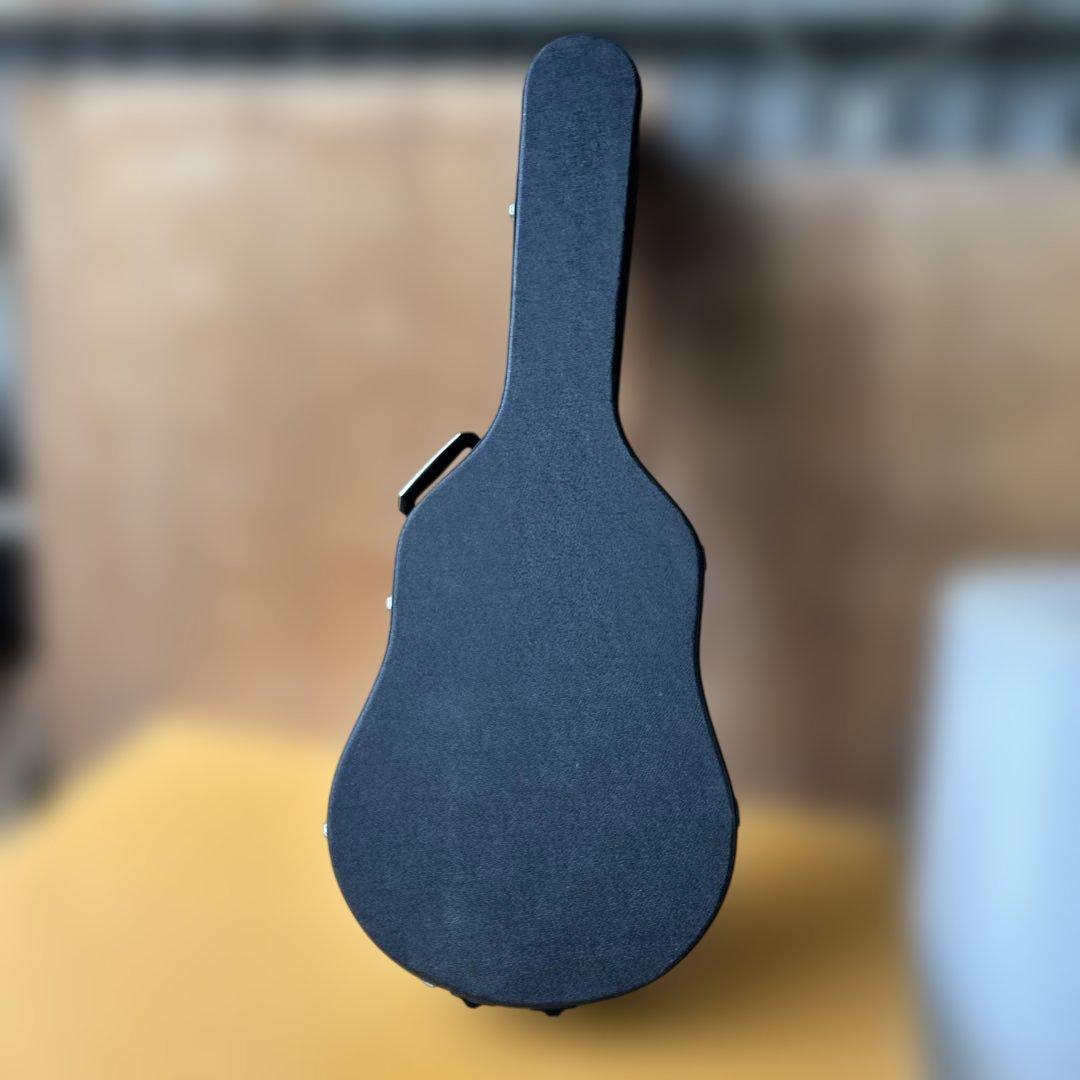 Morris アコースティックギター スプルース