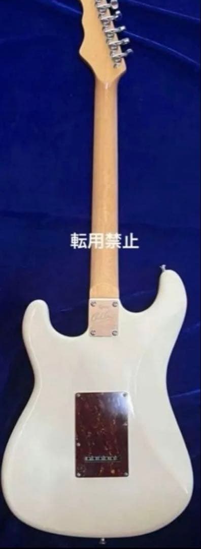 【Burns】Cobraエレキギター