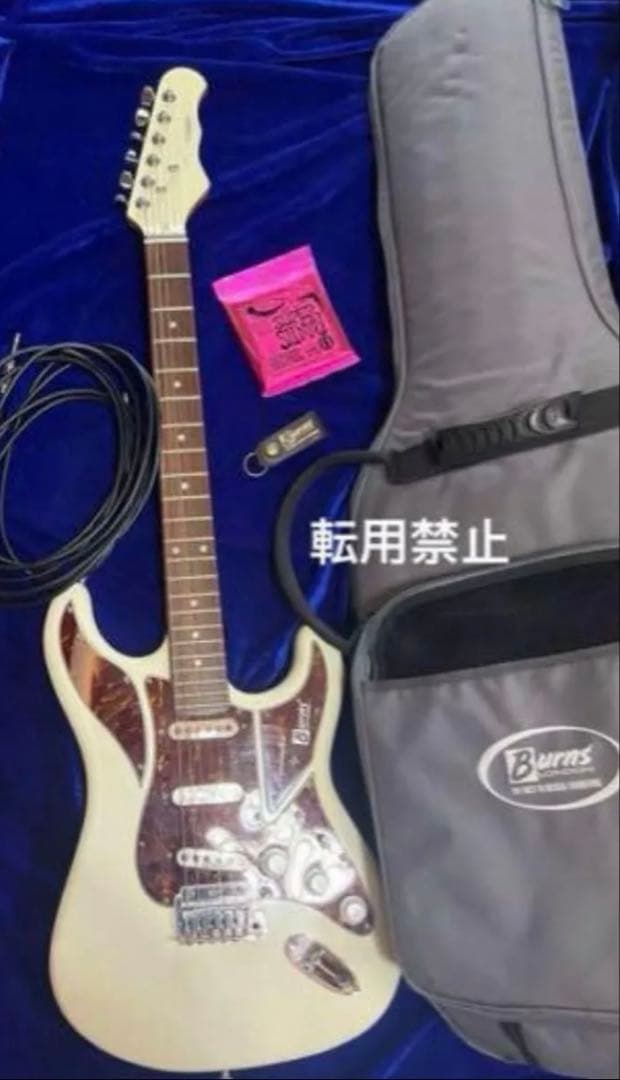 【Burns】Cobraエレキギター