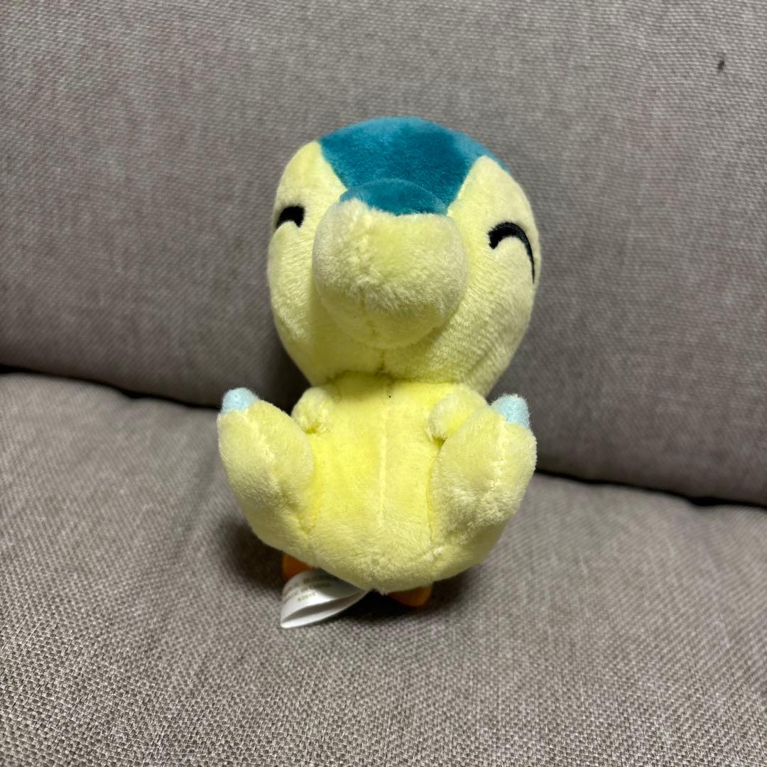 ヒノアラシドール　ポケセン