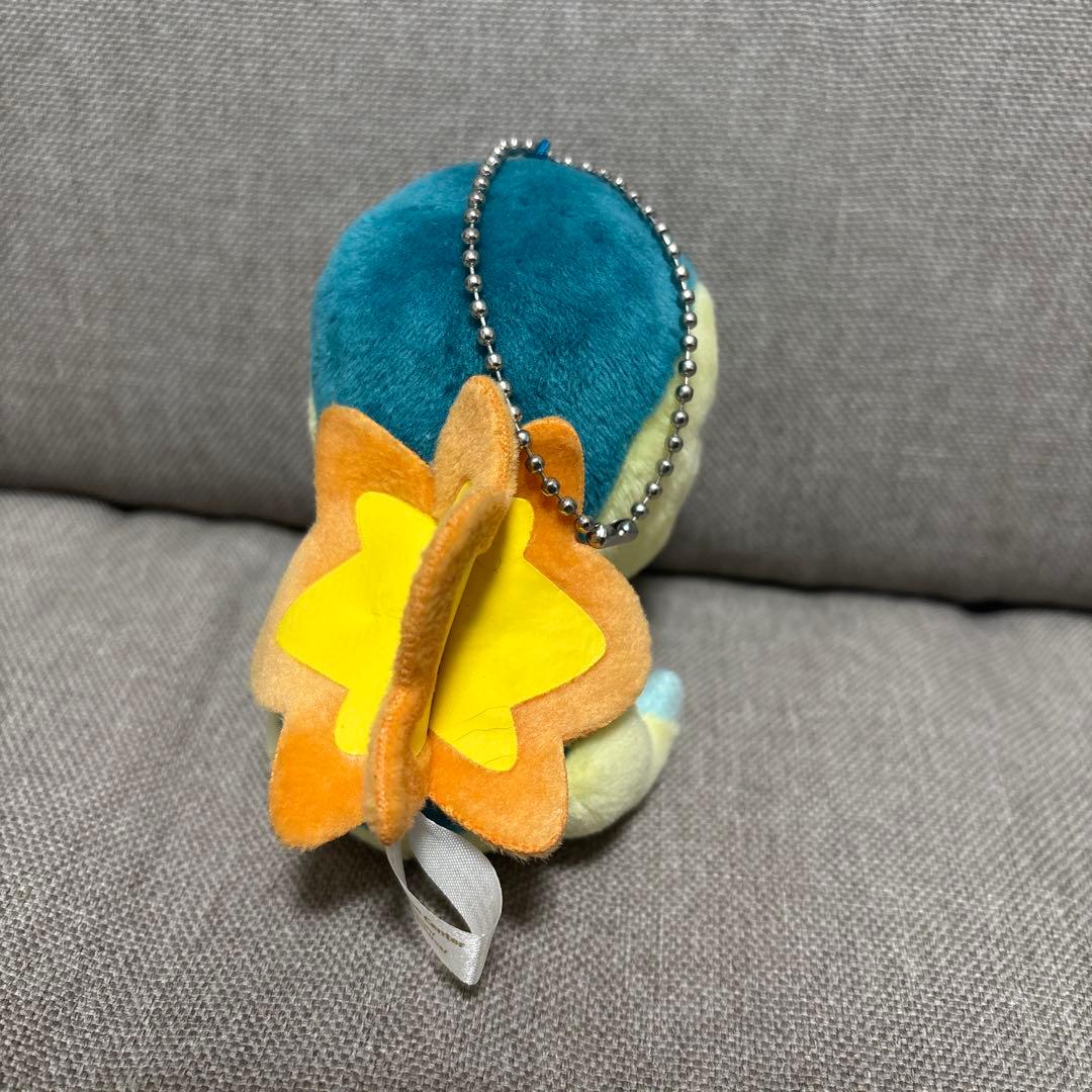 ヒノアラシドール　ポケセン