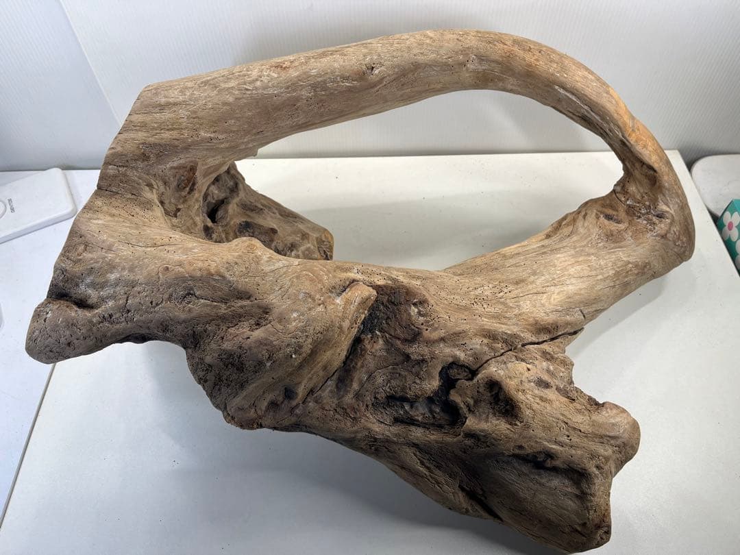 m10特大流木 アク抜き済み 爬虫類シェルター 登り木 インテリア オブジェ