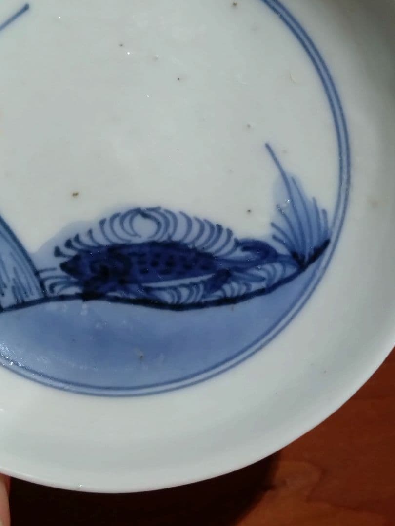 藍九谷    謎の生物 紋  小皿 平盃