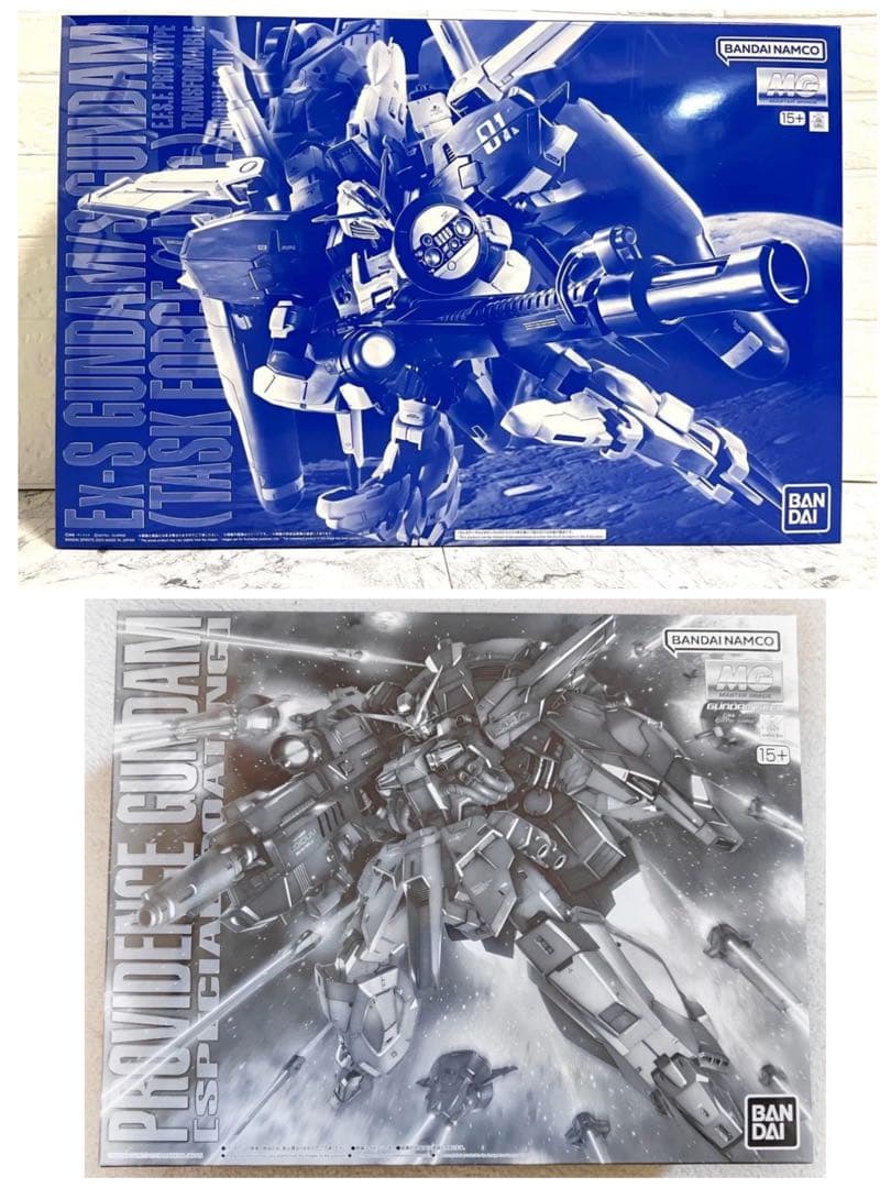 MG 1/100 2点セット 新品