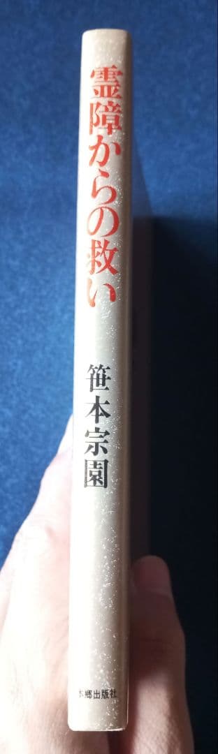 霊障からの救い　救霊と奇蹟を起こす神霊治療