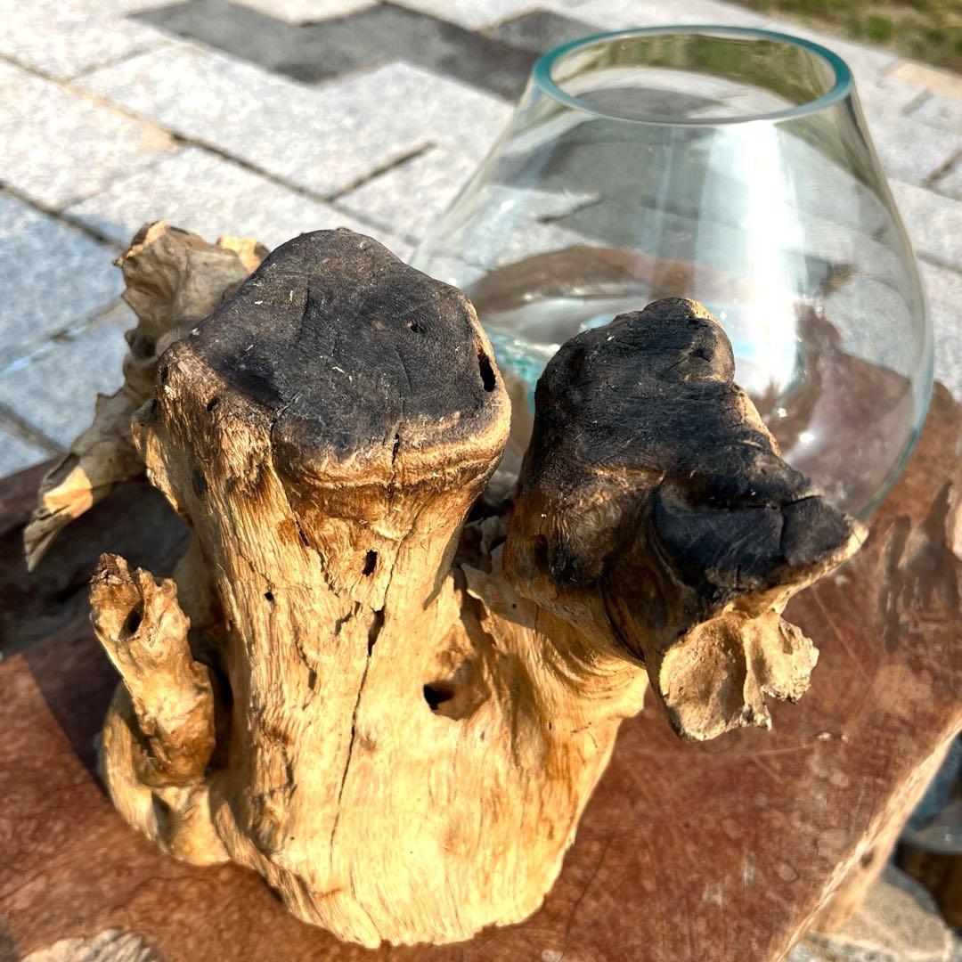 流木ガラスオブジェ特大G 花瓶 金魚鉢 テラリウム フラワーポット 水槽 アート