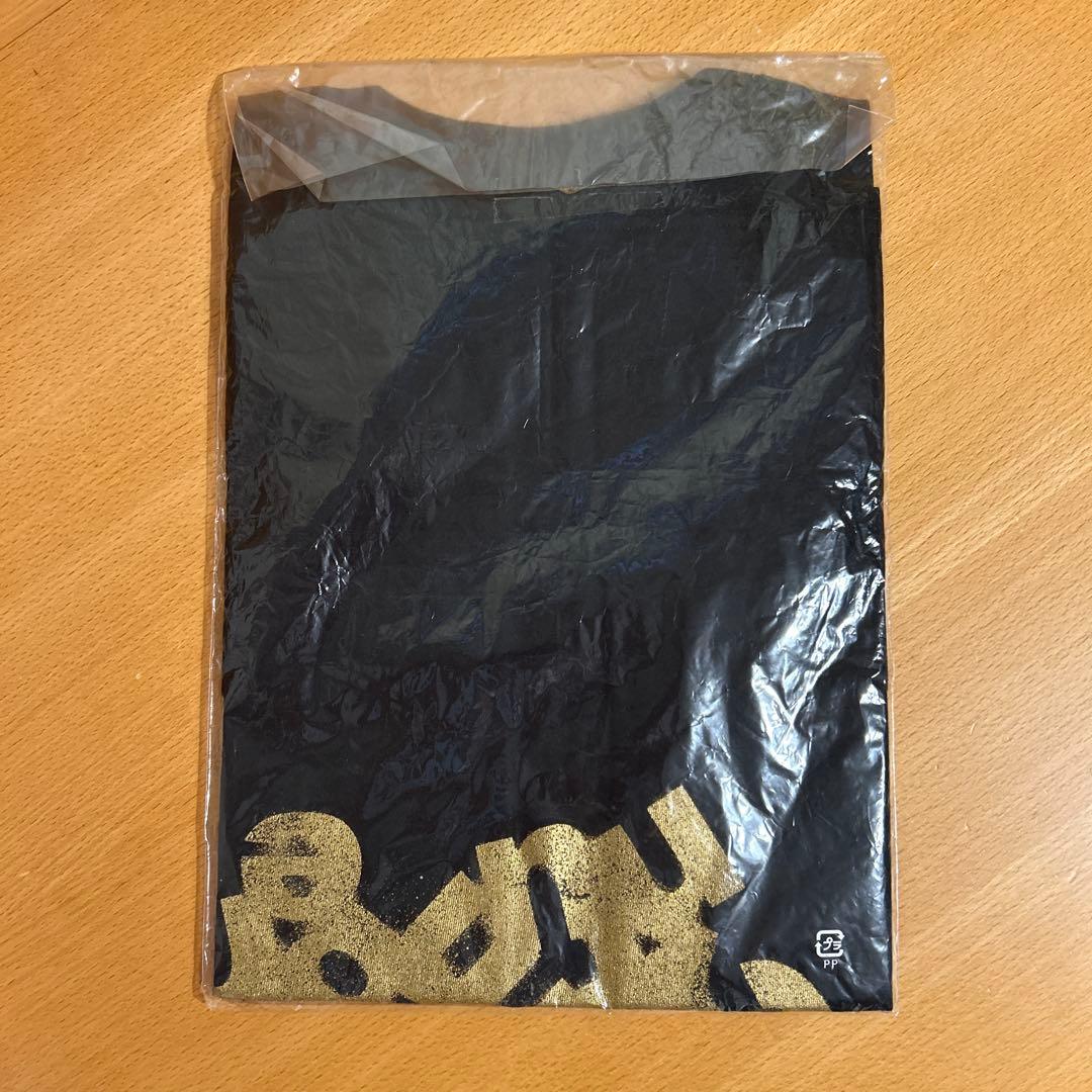 back number スーパーツアー2011 Tシャツ レア