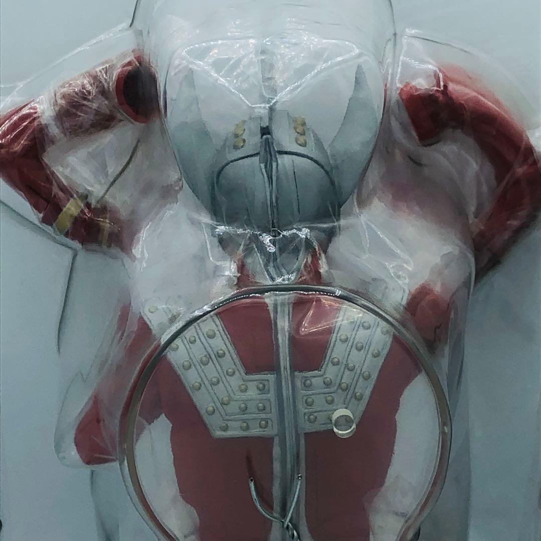 エクスプラス 大怪獣シリーズ ウルトラマンタロウ 少年リック限定 ストリウム光線