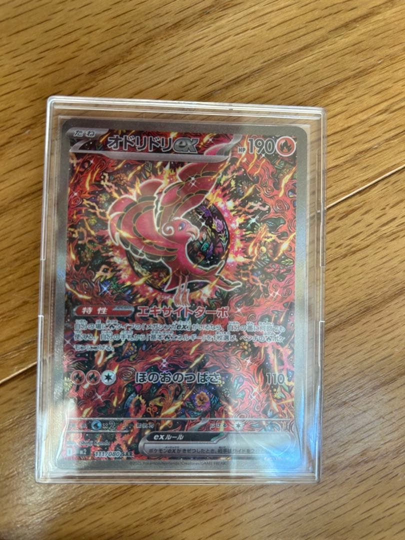 オドリドリSAR.その他sr.ar等