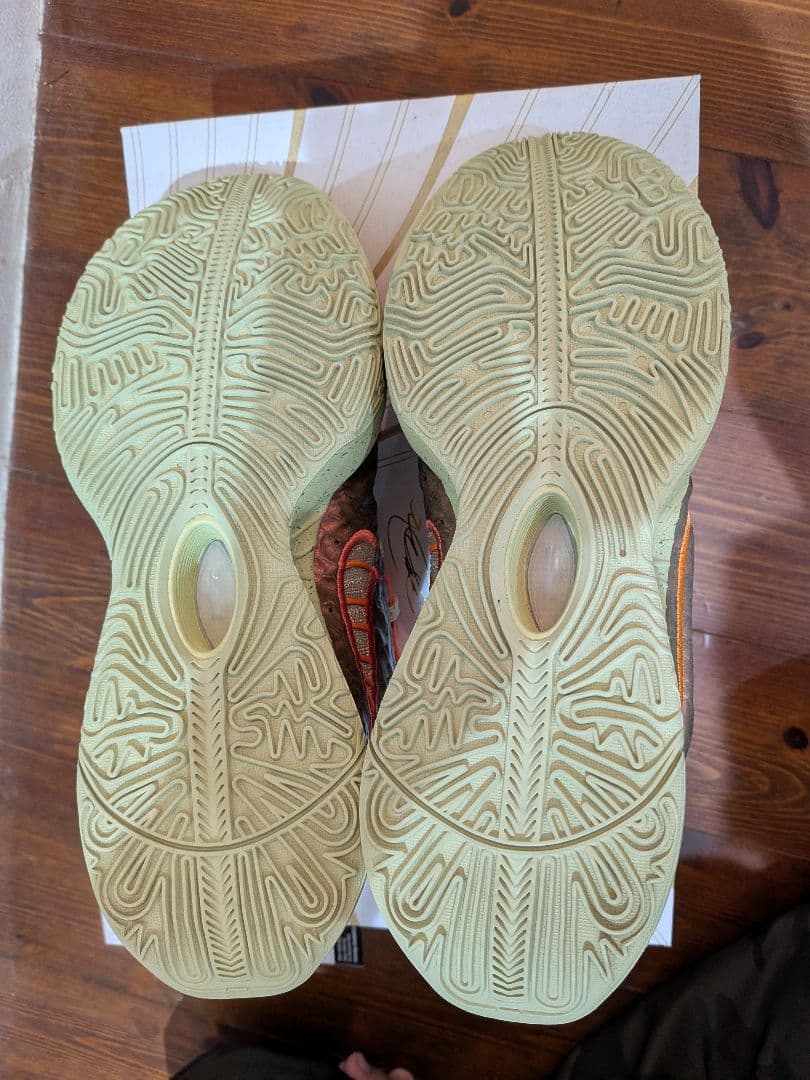 NIKE　LeBron 21 EP クイーン コンク 28.5