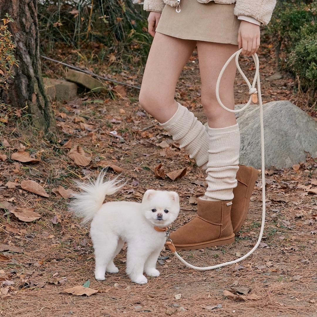 STROLL カラー&リード ベージュ S