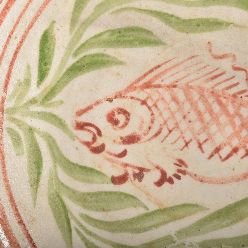 中国　赤絵　魚藻文盤　皿　V　R8757