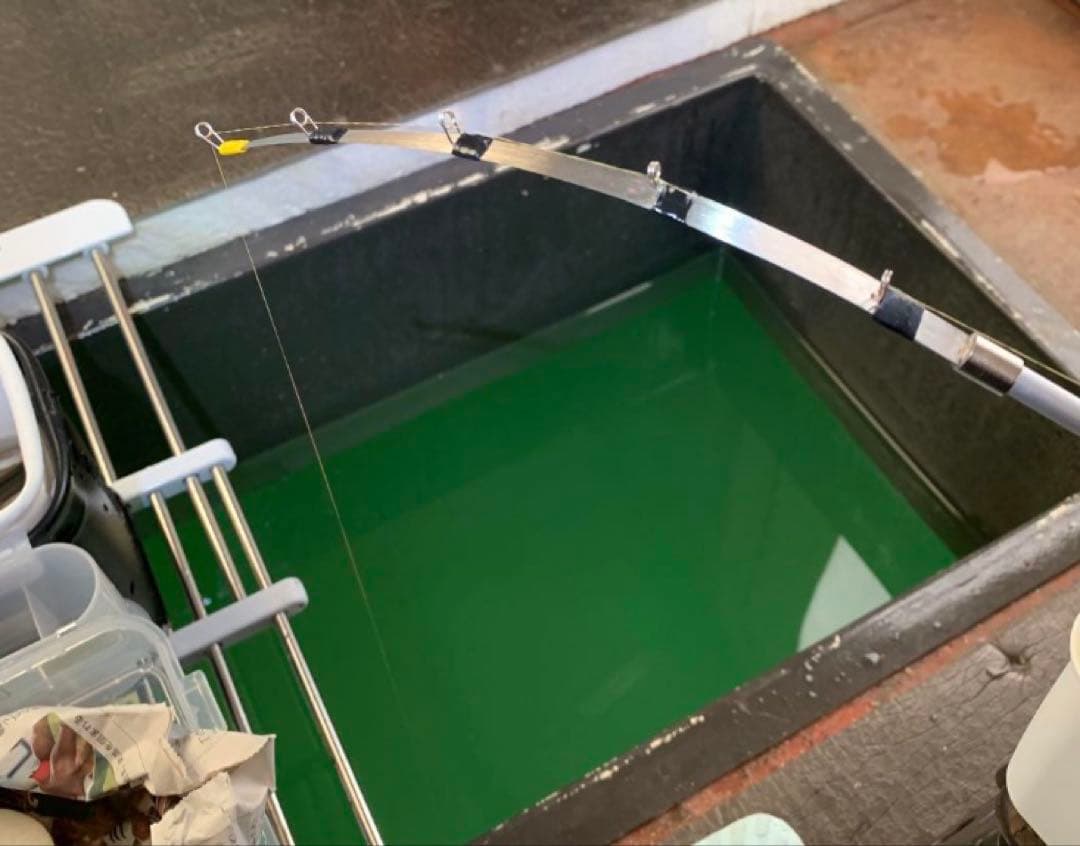 新作穂先　ワカサギステンレス穂先　２本３００ミリ