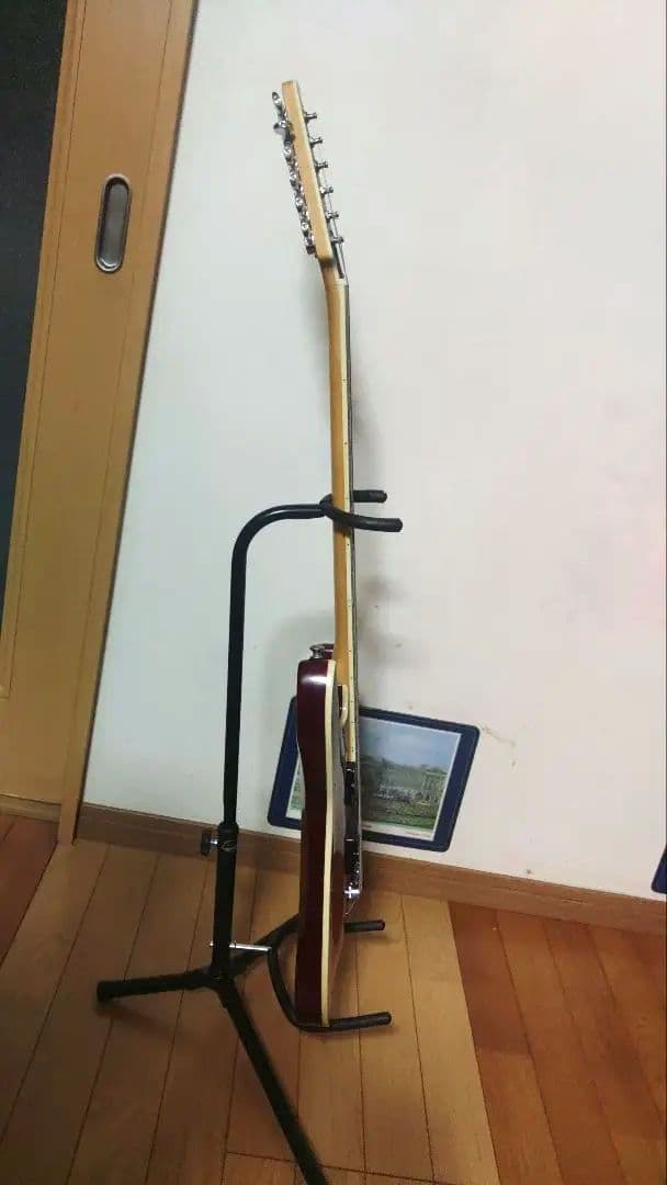 グレコ　WS-43　ワイルドスキャンパー　wild scamper 　greco