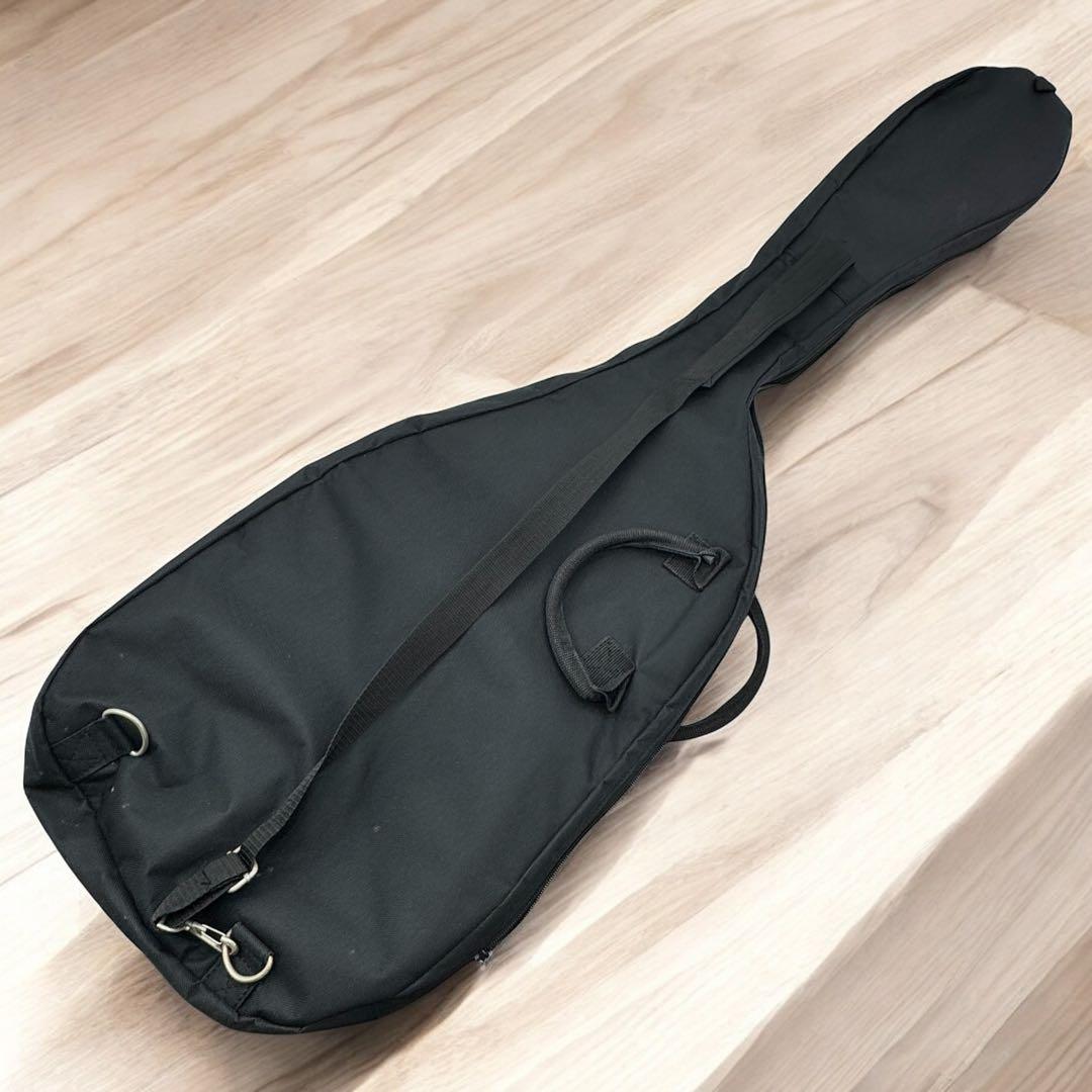 FERNANDES エレキベース RJB-45 リミテッドモデルギグバッグ付き