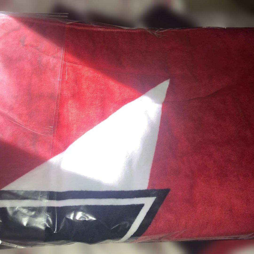 矢沢永吉　SBT 完売品　ロゴ　スター　赤白