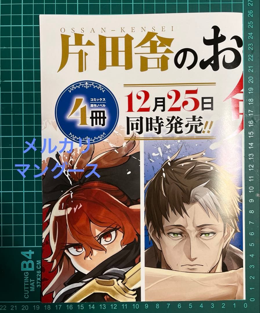 片田舎のおっさん、剣聖になる　ポスター・グッズセット