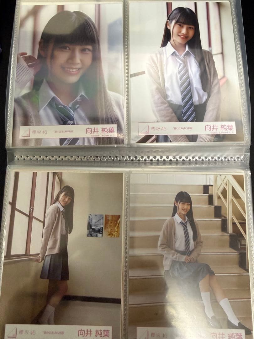 櫻坂46 3期生　生写真　夏の近道 MV制服 フルコンプセット