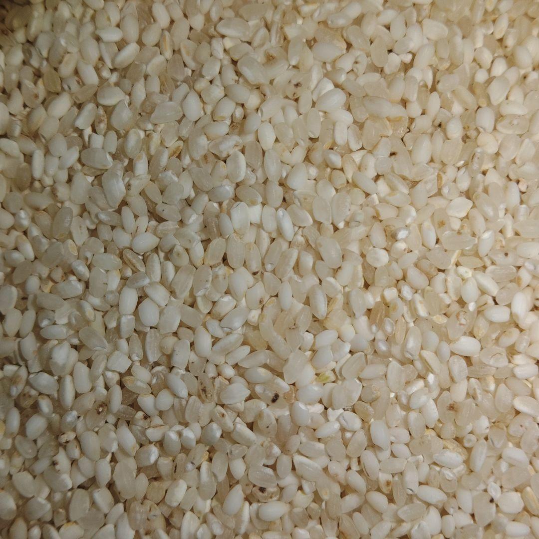 くず米　24kg　【飼料用】※説明欄必読