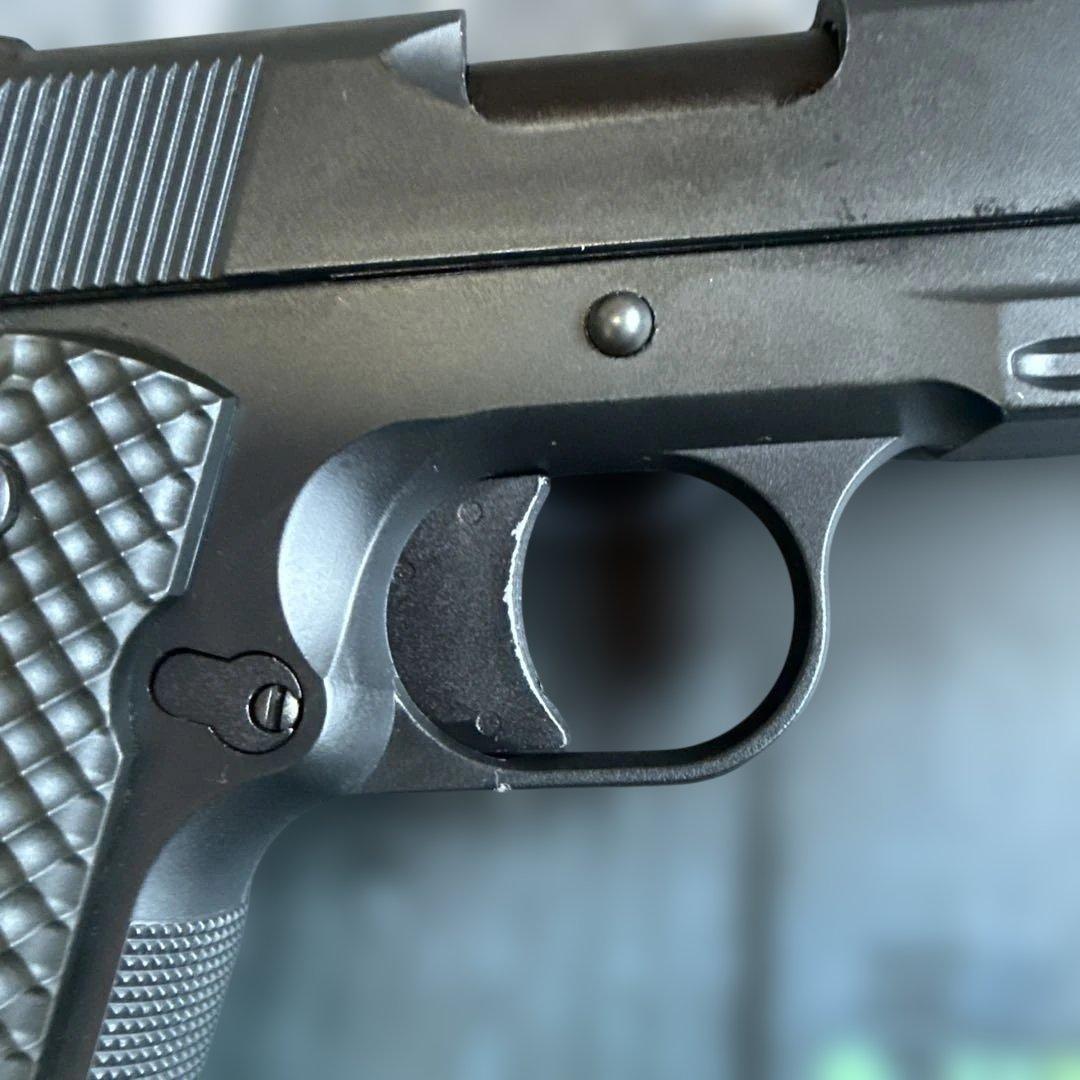 南*梅様 Carbon8 m45 DOC ナイトシフト co2 カスタム品