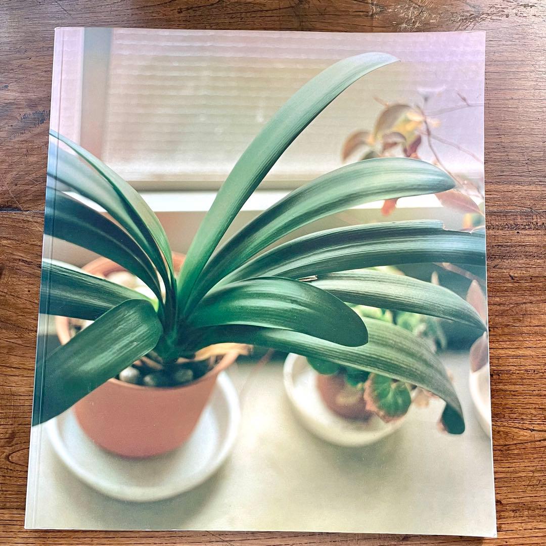 生きている　佐内正史　写真集