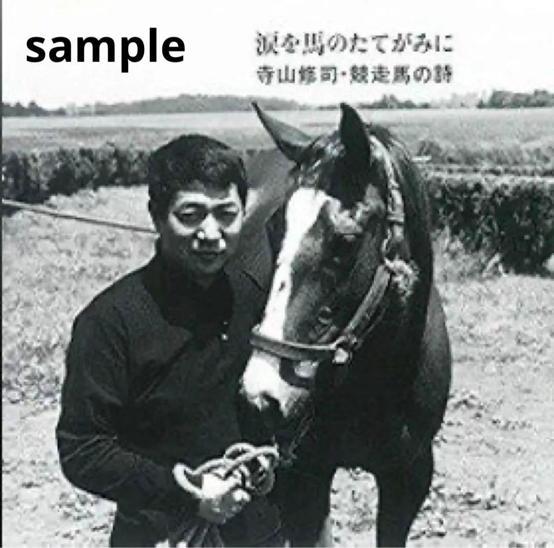 TCK東京シティ大井競馬場【ハイセイコー】馬像完成記念 田畑功 午年 干支飾り