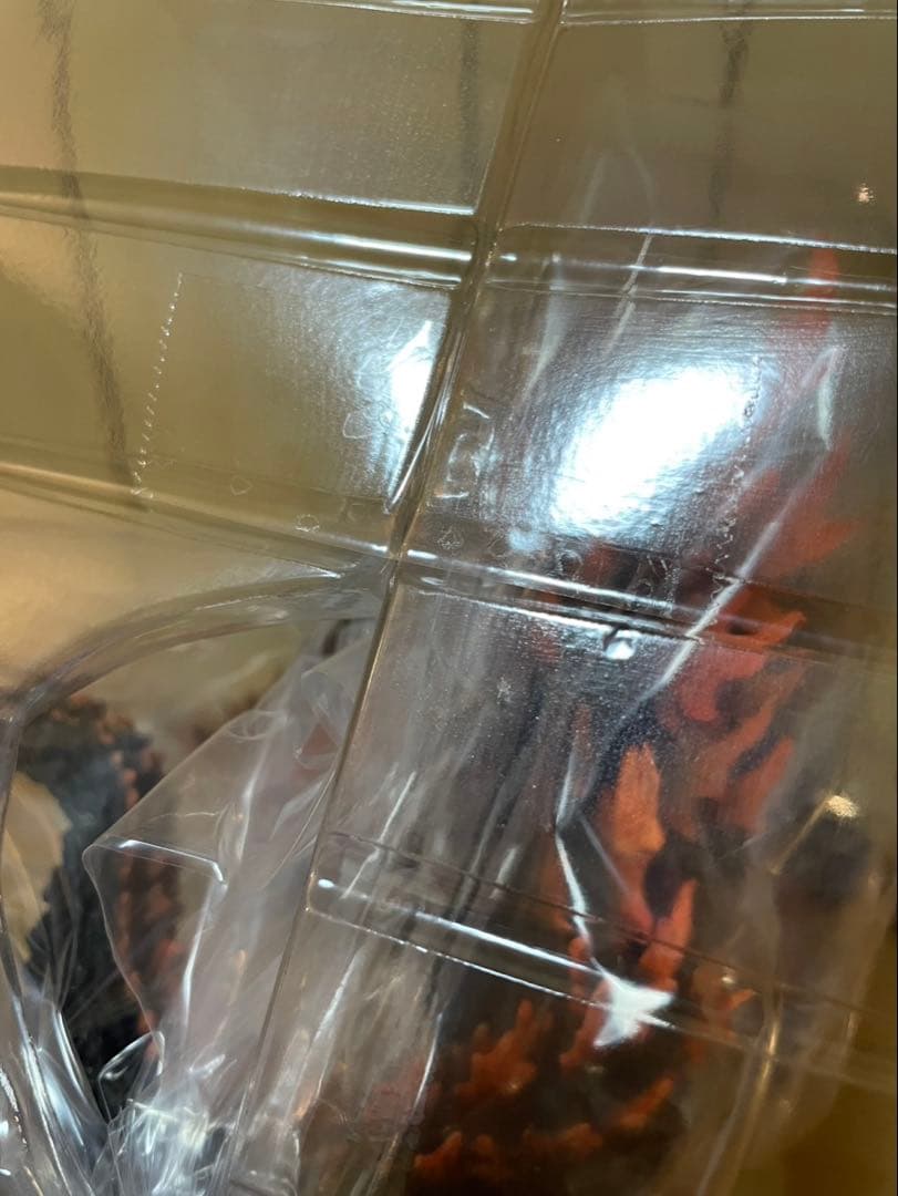 ゴジラ対エヴァンゲリオン デフォリアル