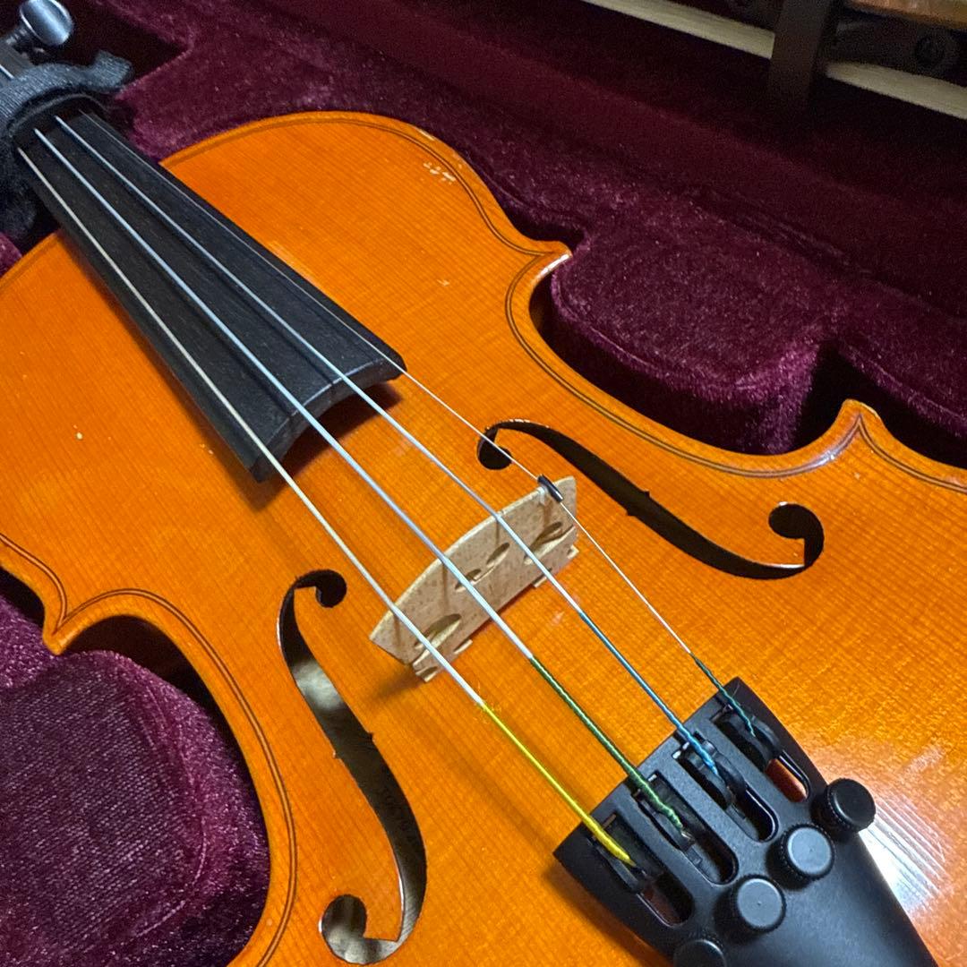 【更にお値下げ中】ピグマリウス バイオリン ST01 1/2 分数バイオリン