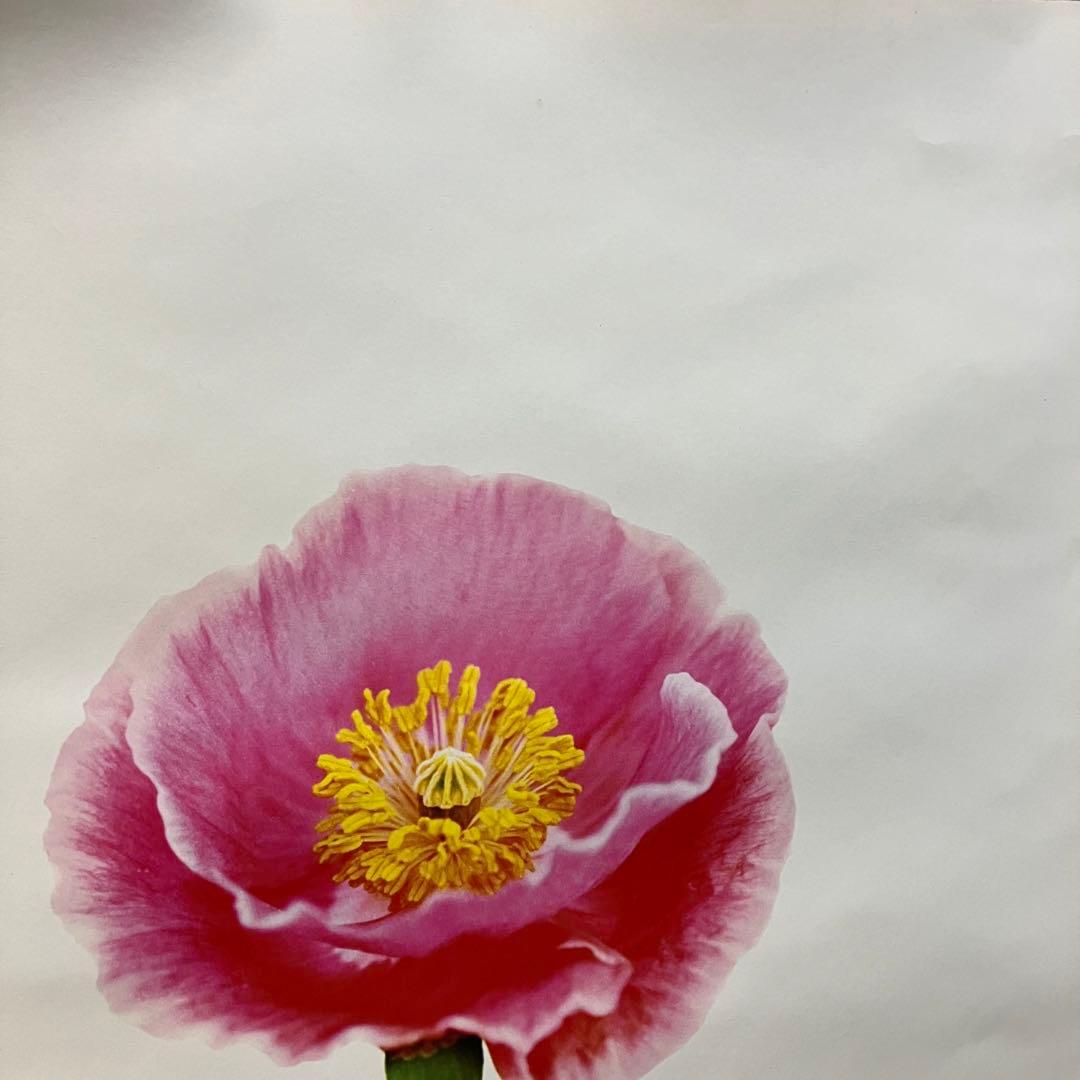 Mr.Children/ IT'S A WONDERFUL WORLD ポスター